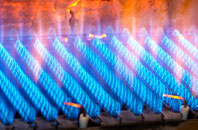 Willingcott gas fired boilers